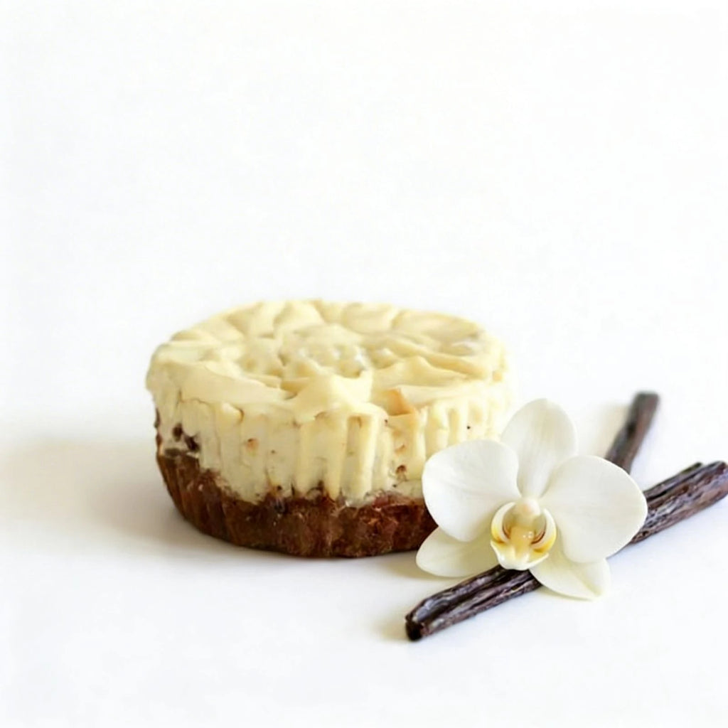Mini cheesecake with vanilla beans and a flower on a white background